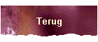 Terug